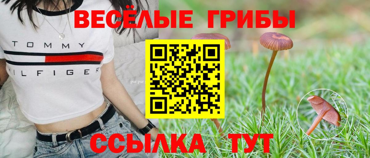 Галлюциногенные грибы Cubensis Тында